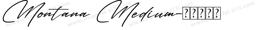 Montana Medium字体转换